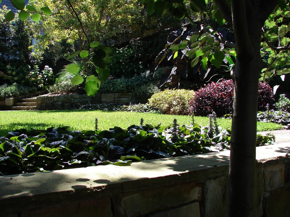 Formed Gardens